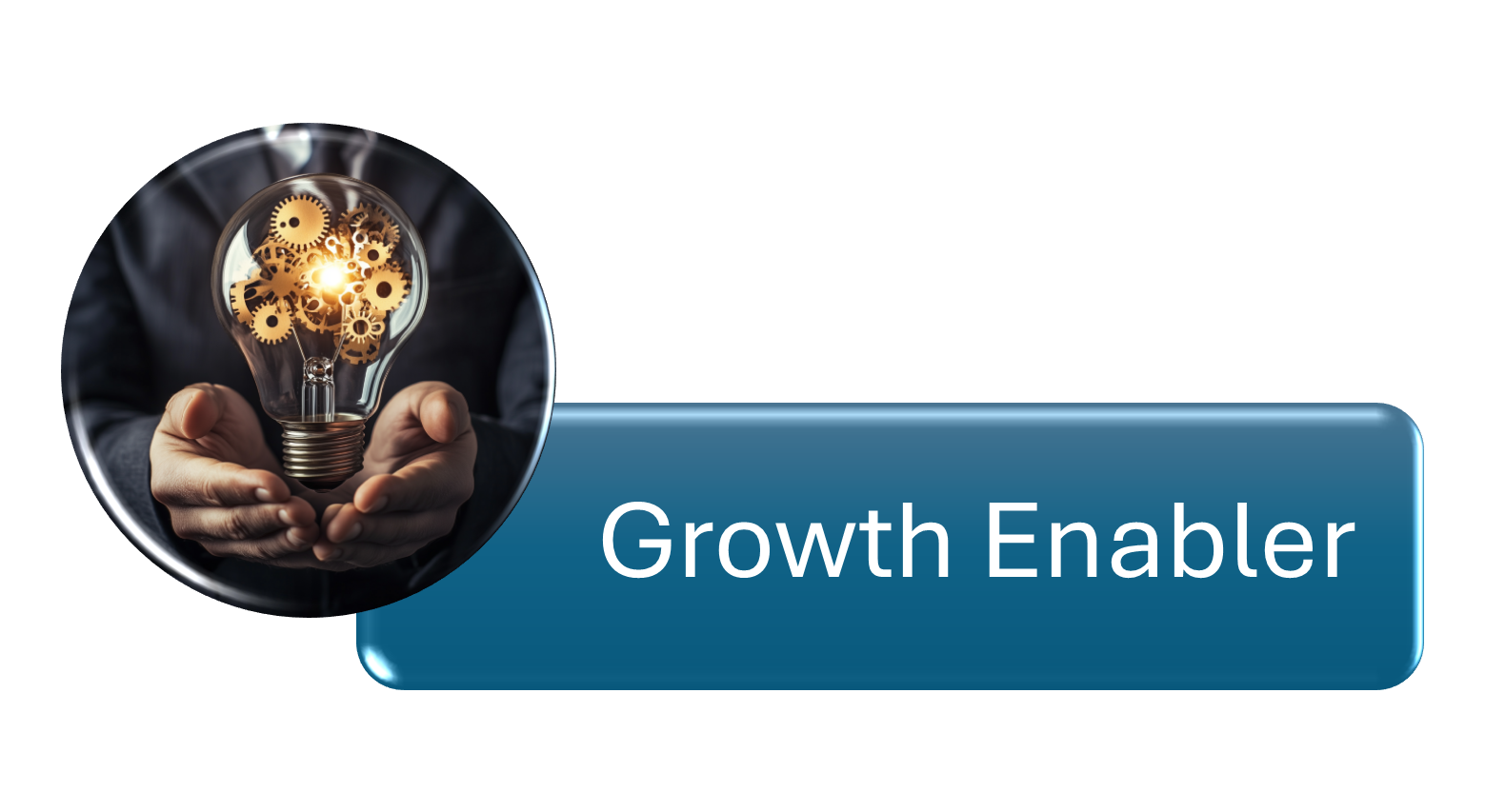 Growth Enabler Growth Enabler